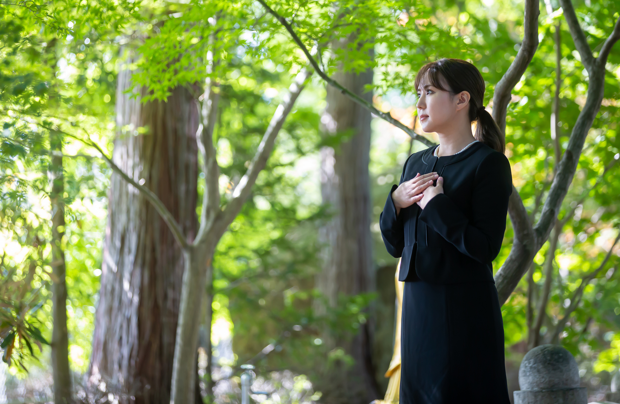樹木葬のSEO対策とは？集客のプロが徹底解説