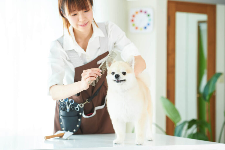 トリミングサロンのSEO対策とは？失敗しないためのポイントを解説