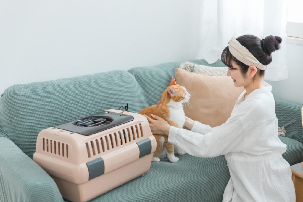 ペットホテルのSEO対策を成功させるポイント