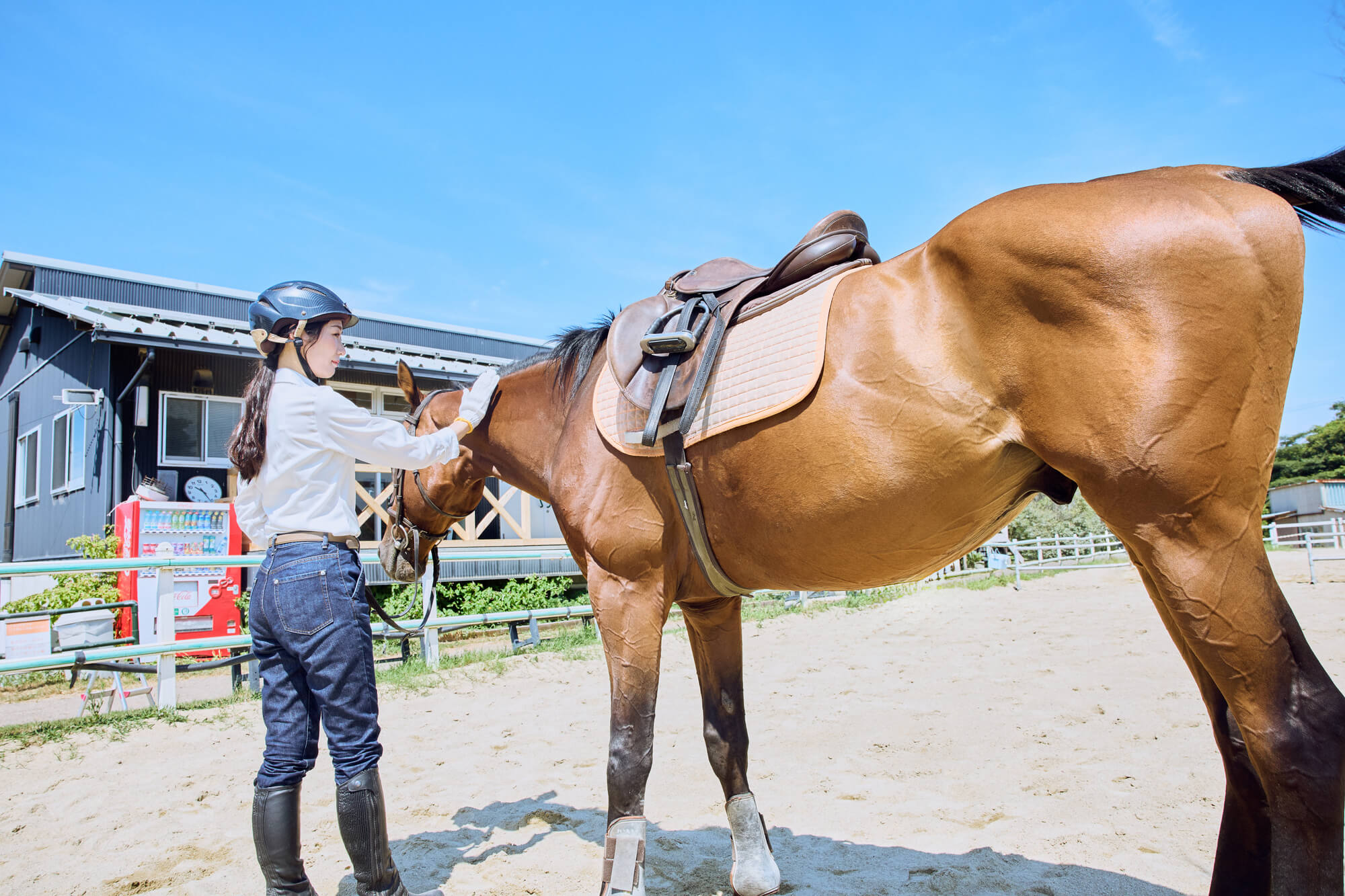 乗馬教室のSEO対策でよくある課題