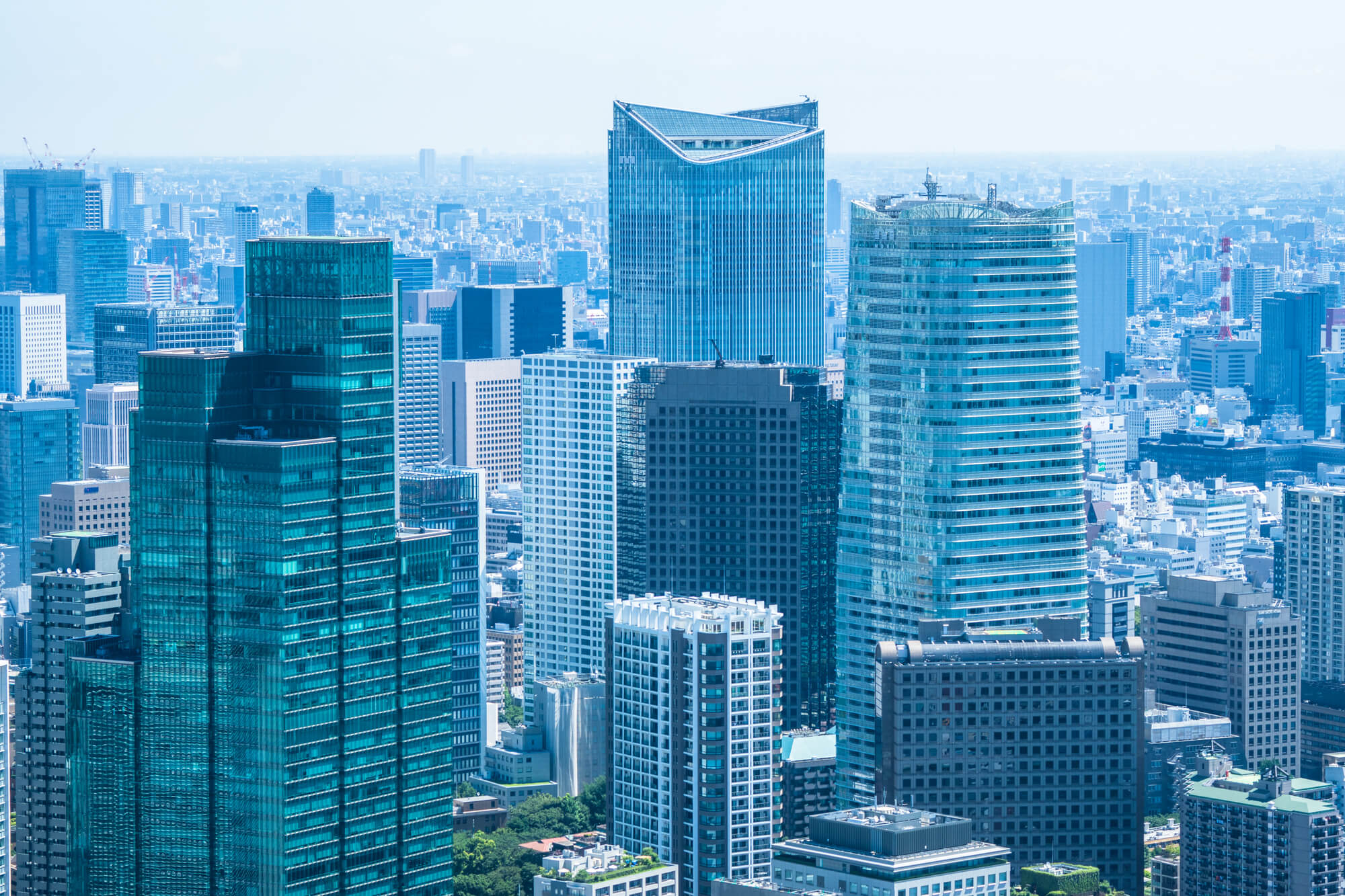 東京でAIO対策を意識したWEB制作が重要な理由