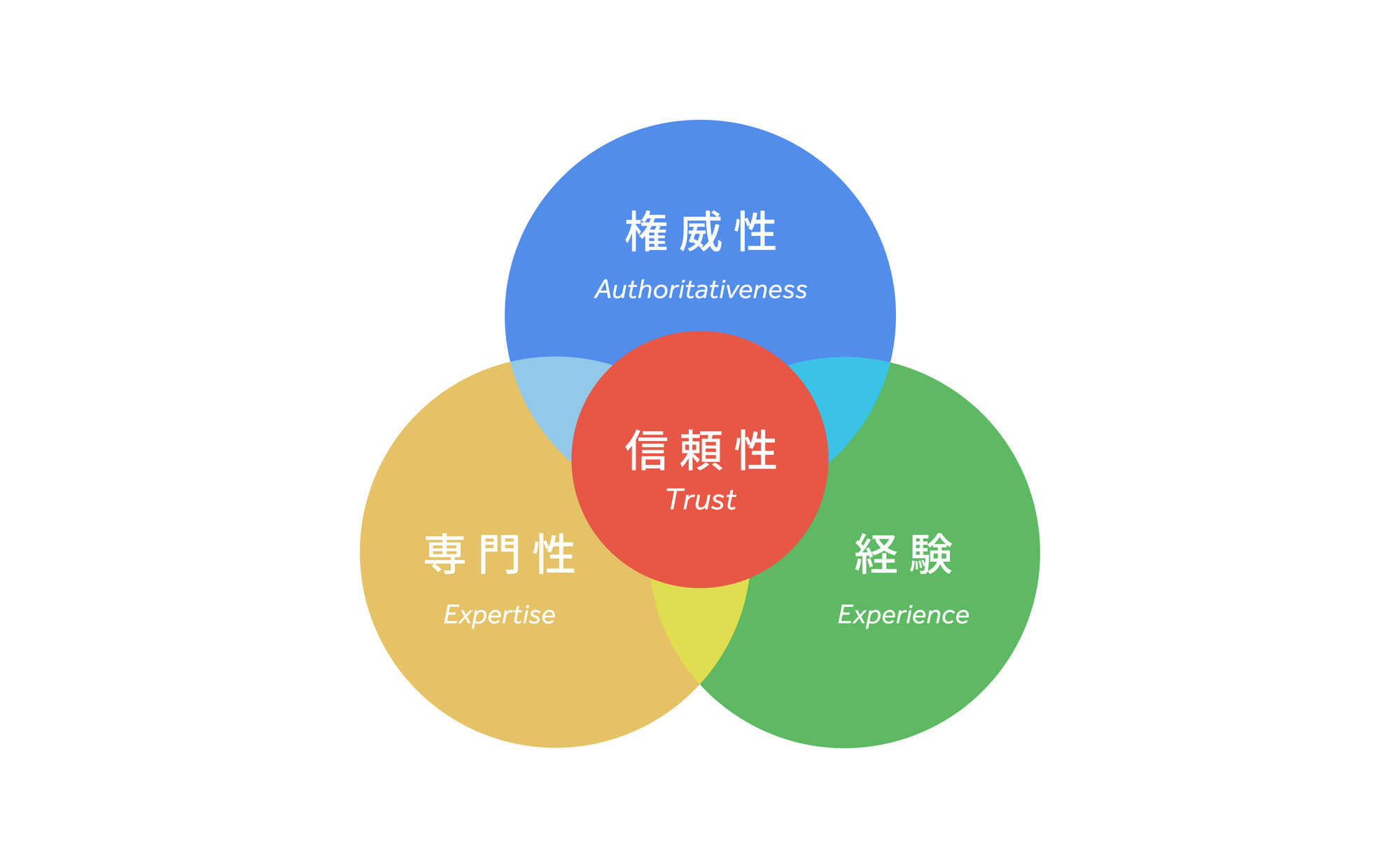 美容クリニックSEOにおけるE-E-A-T強化の具体策
